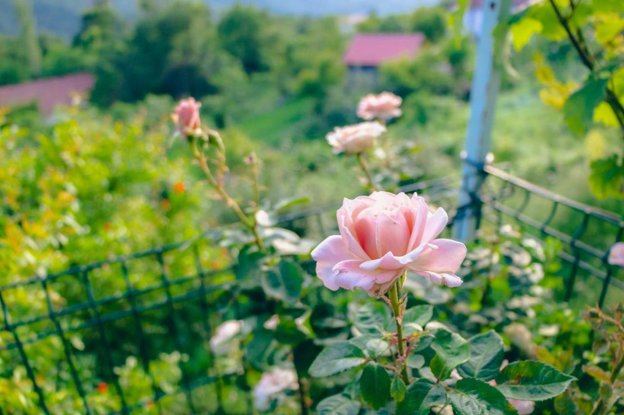 Etno House Mira Villa Virpazar Dış mekan fotoğraf