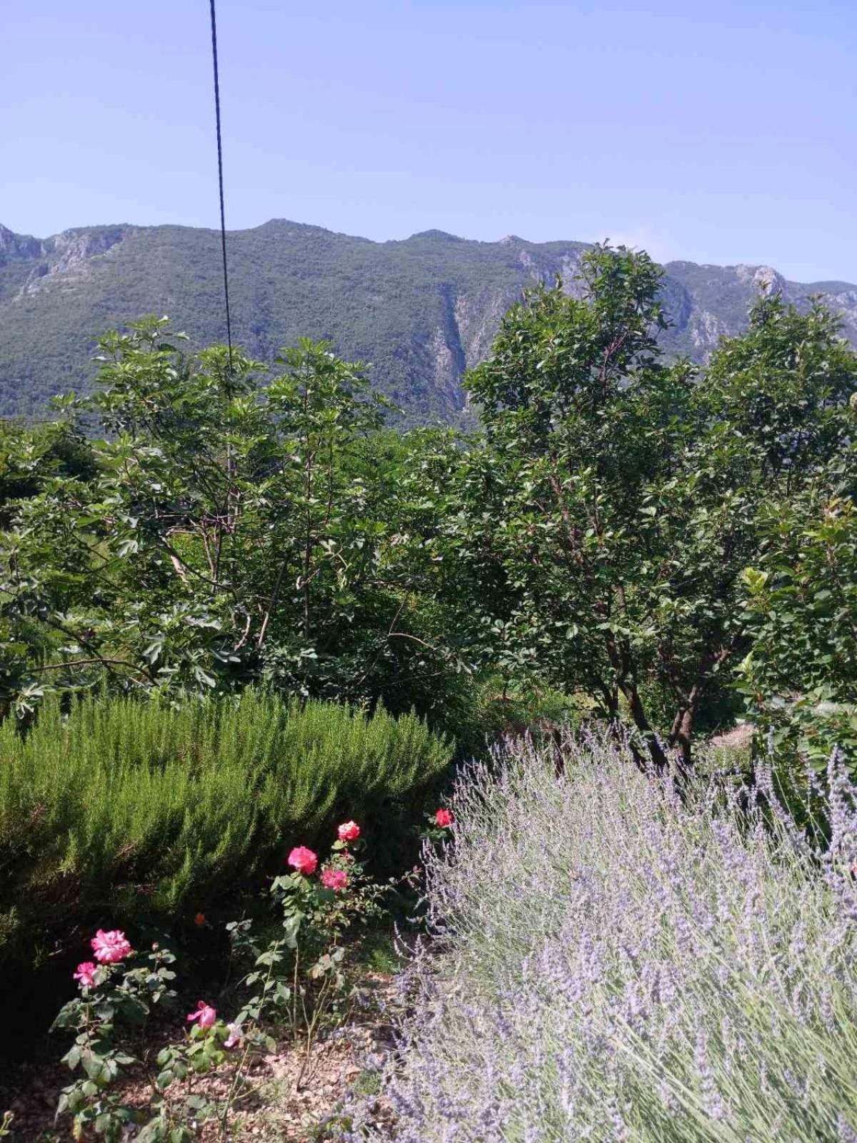 Etno House Mira Villa Virpazar Oda fotoğraf