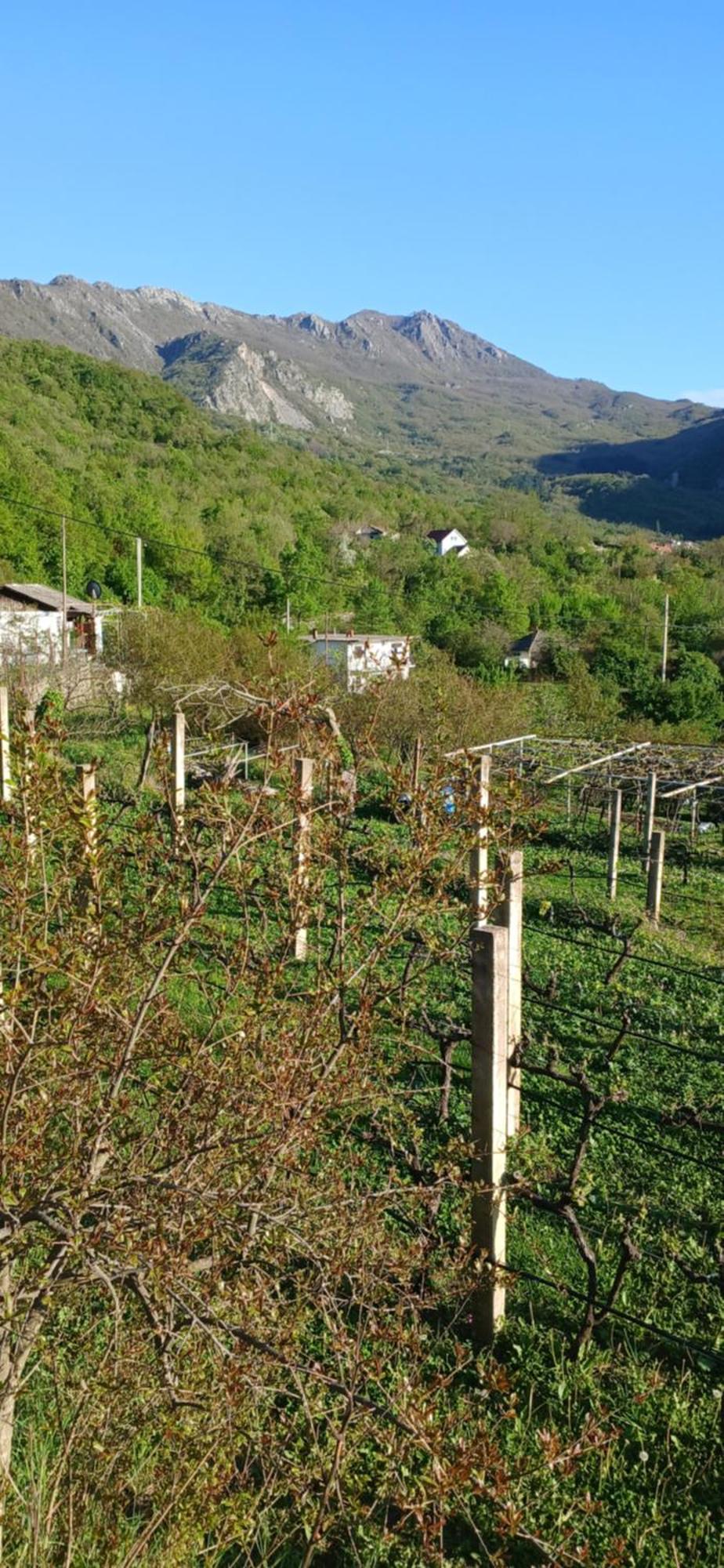Etno House Mira Villa Virpazar Dış mekan fotoğraf