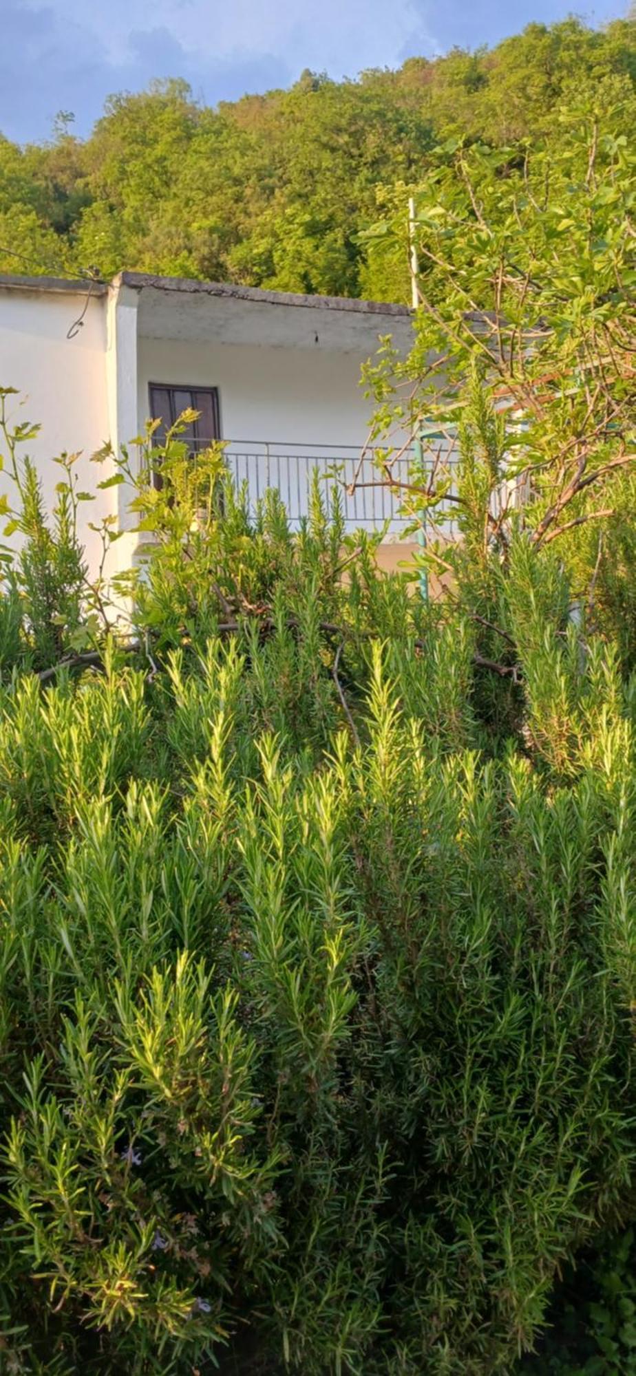 Etno House Mira Villa Virpazar Oda fotoğraf